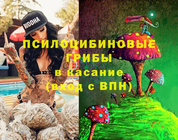 Альфа ПВП Беломорск