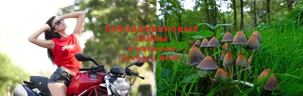 таблы Белокуриха
