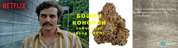 Альфа ПВП Беломорск
