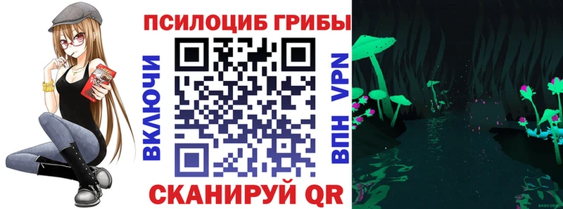 MEGA онион  сколько стоит  Санкт-Петербург  Псилоцибиновые грибы мицелий 